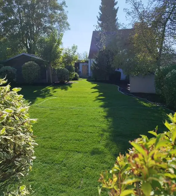 Grüner Garten mit Hecken, wo Gartenarbeiten gemacht wurden